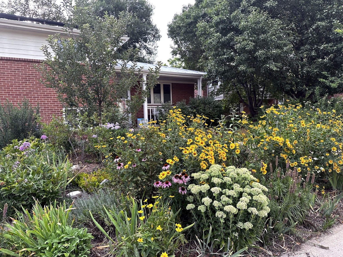 Residential Turf Removal: Planning for Success