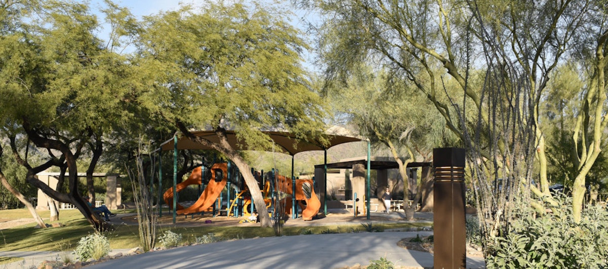 How Biodiversity Creates Healthy Communities