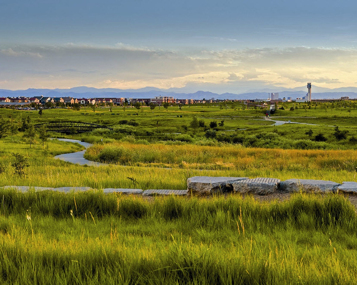 Creating Nature-Positive Developments that Regenerate Biodiversity
