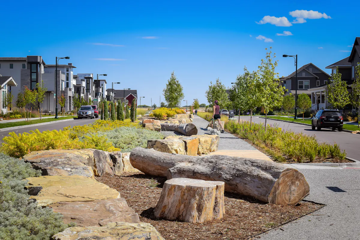 Central Park Neighborhood