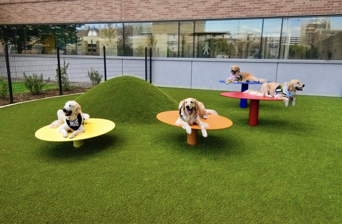 Children’s Hospital Therapy Dog Park