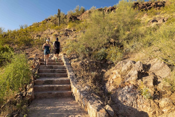 Cholla Trail