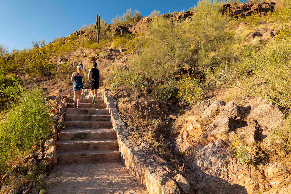 Cholla Trail
