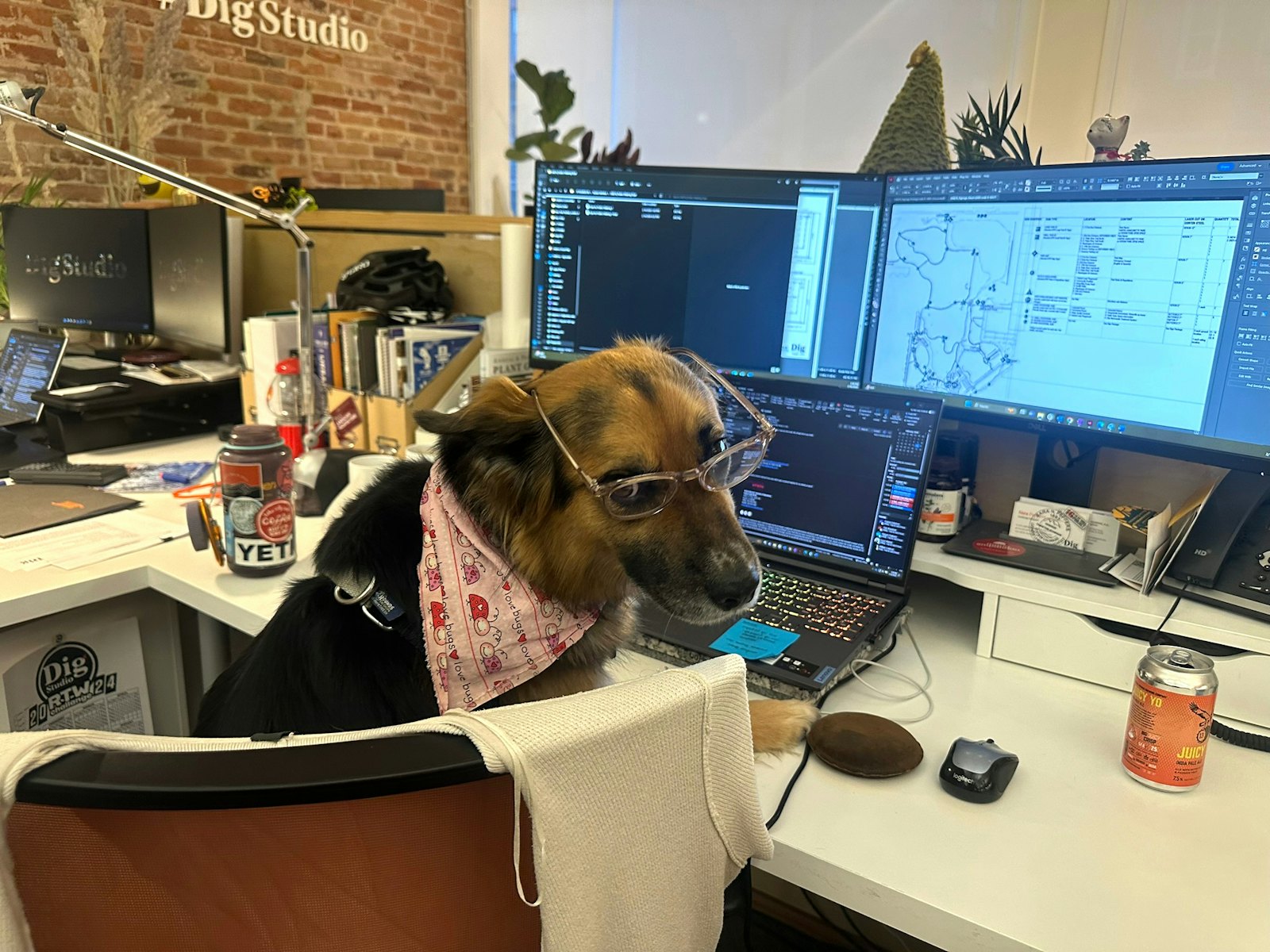 Dogs of Dig Studio and Phoenix Collaboration