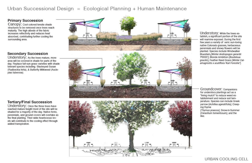 Helen’s entry showed how the site would respond to succession as the landscape matures. As trees mature, tensile shade structures are eventually removed and landscapes transition to shade tolerant perennials