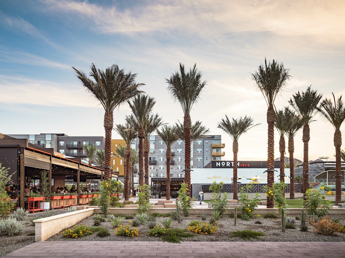 ASU Novus Place Plantings