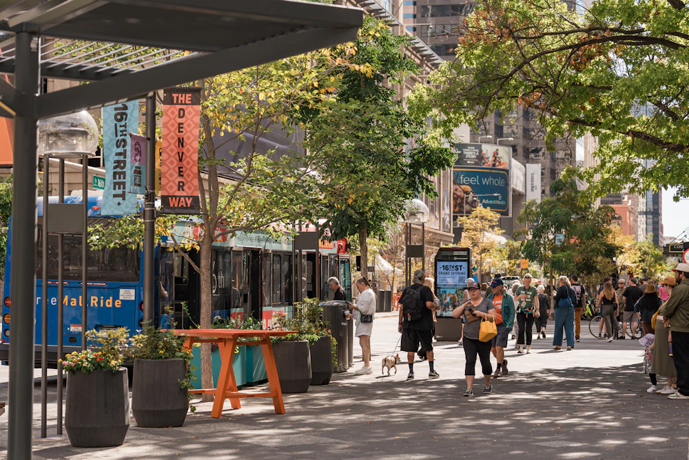 16th Street: Long-term investment below ground creates the soil conditions needed for a healthy and enduring urban canopy