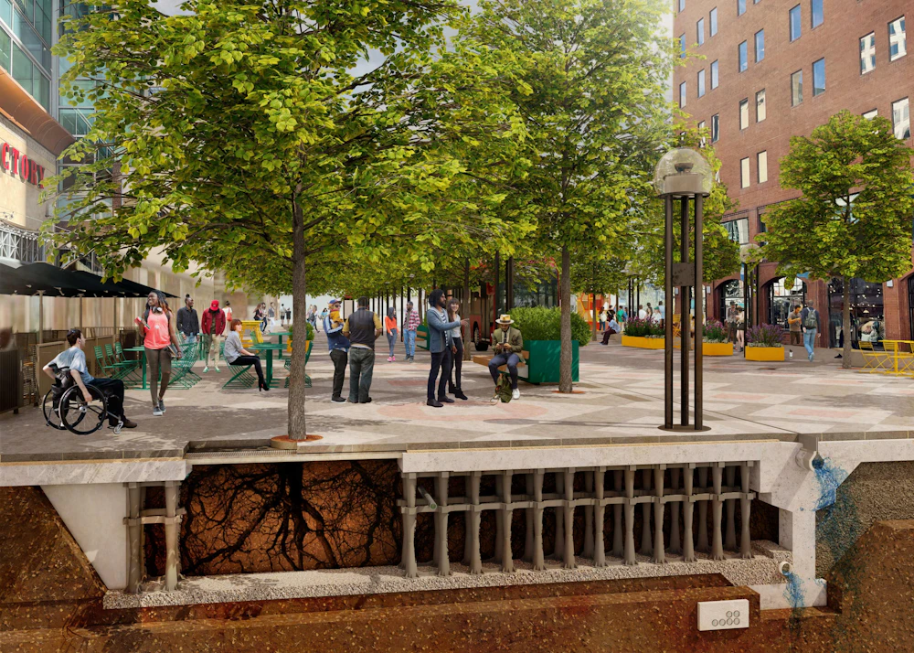 16th Street tree system: Suspended paving provides the soil volume and structural support needed for trees to thrive beneath a busy urban corridor