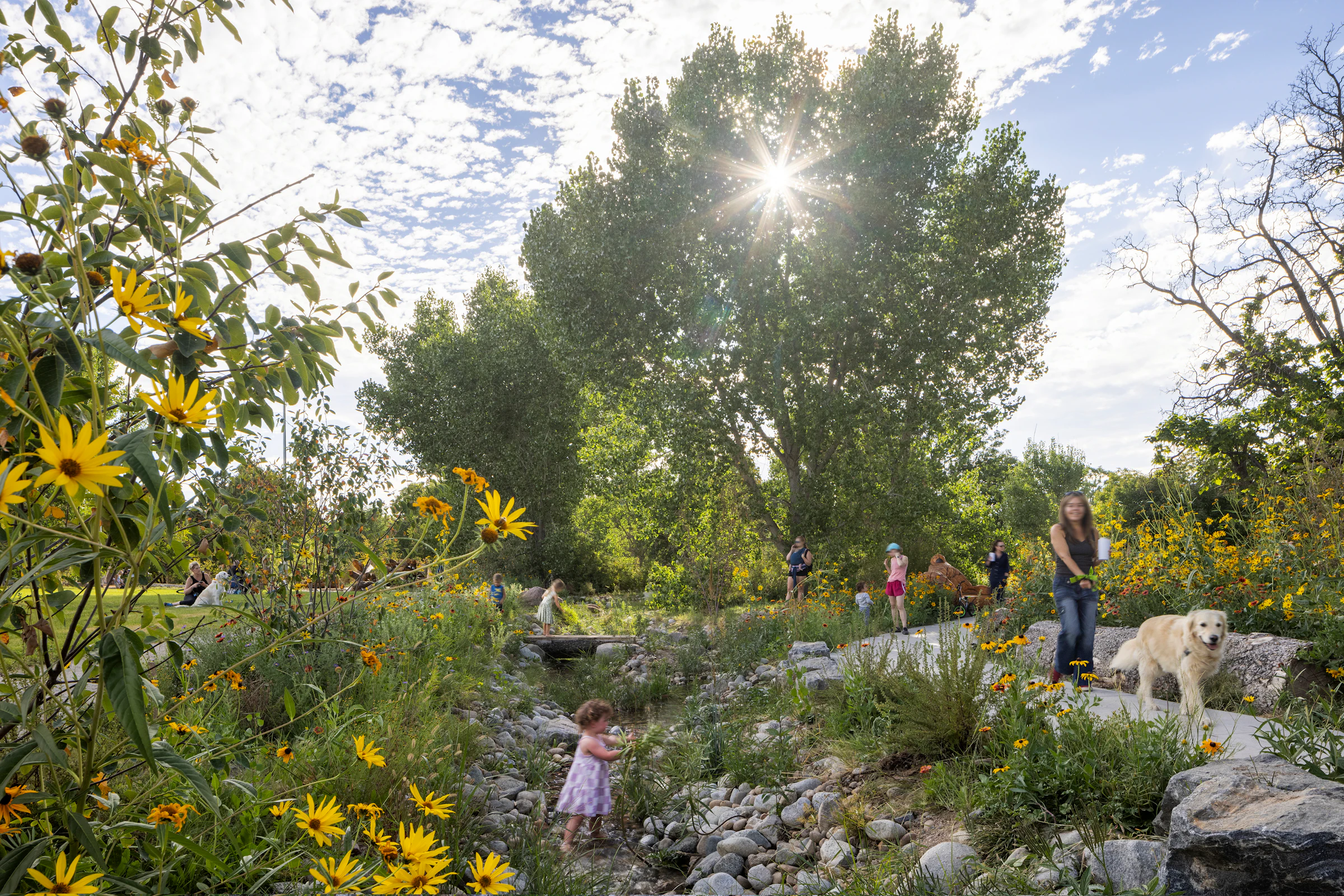 City Park Nature Play: Trees and native planting bring shade, sensory discovery, and nature-based play into the heart of Denver-