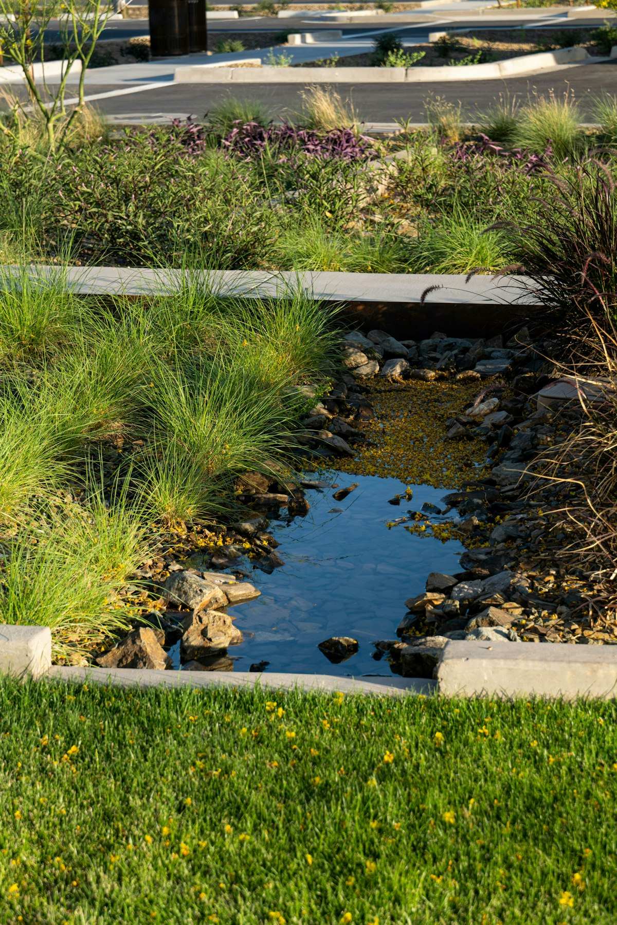 Avondale Civic Mid 2