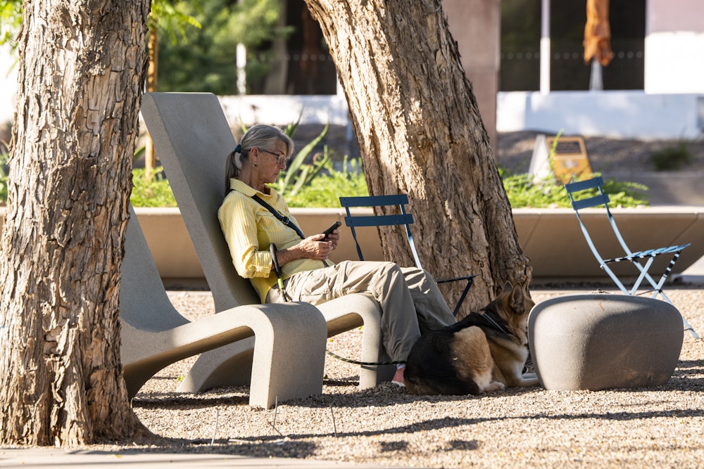 Scottsdale Civic Slide 1