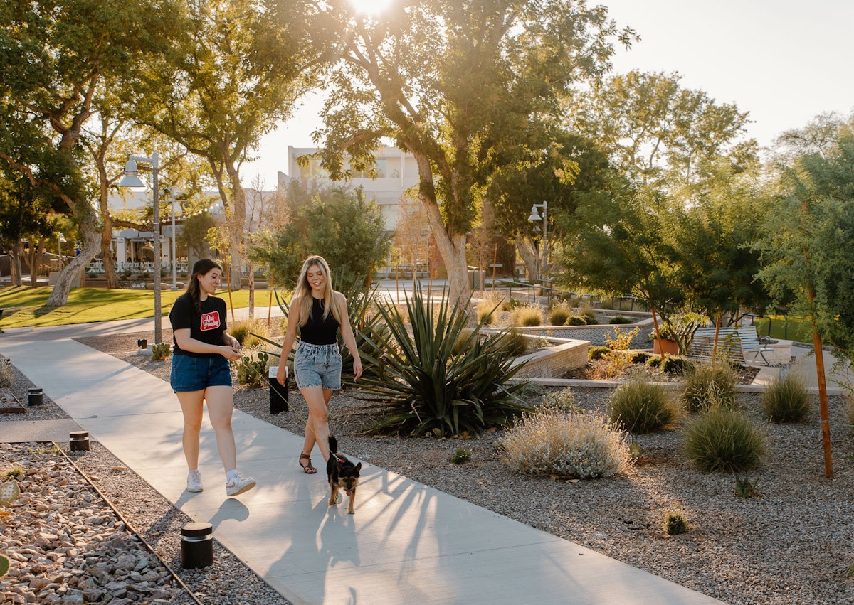 Scottsdale Civic Mid 1