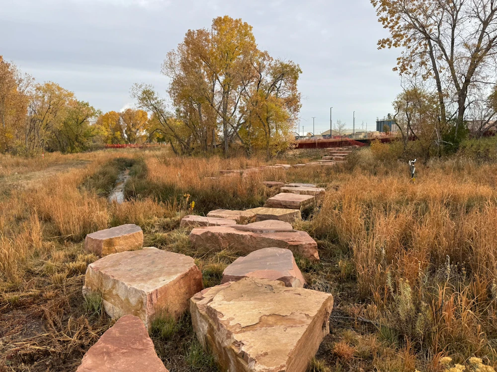 Natural stone elements shape a tactile path through the wetland—blending circulation with habitat and experience