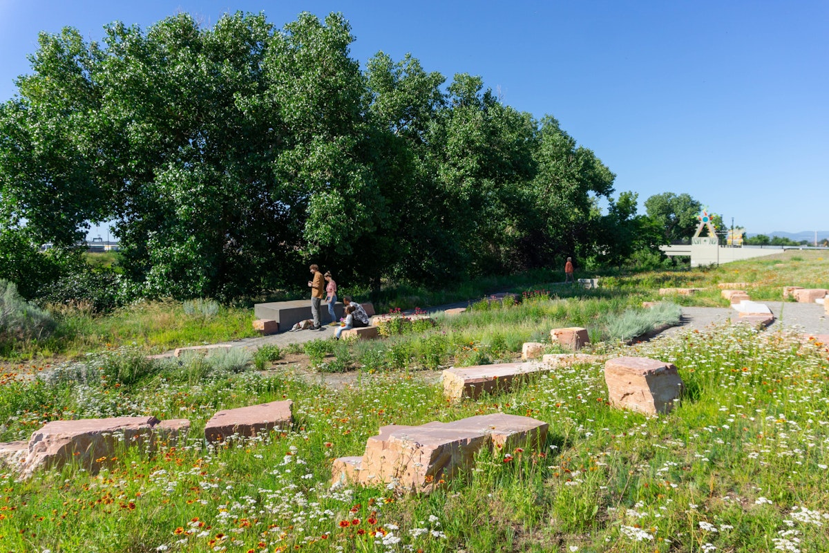 Carpio Sanguinette Mid 3