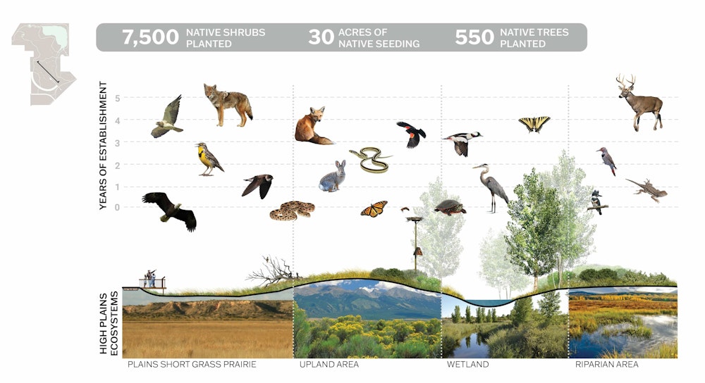 Carpio Sanguinette Slide 5