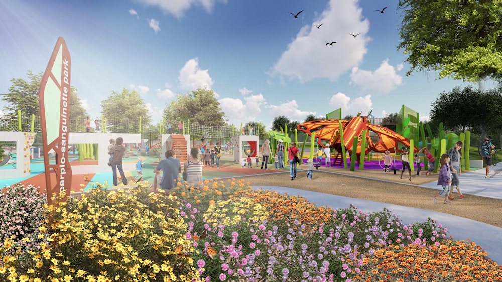 Carpio Sanguinette Slide 10