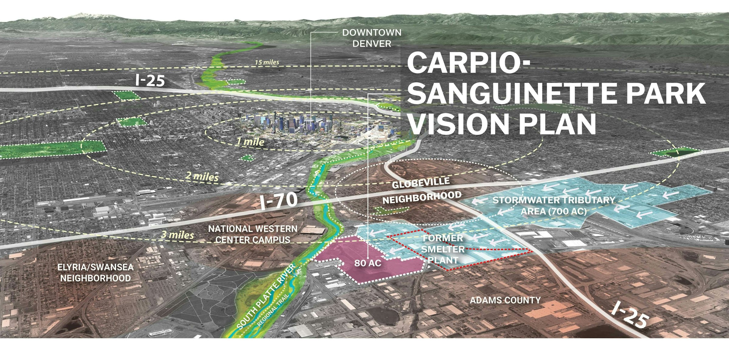 Carpio Sanguinette Fullscreen-