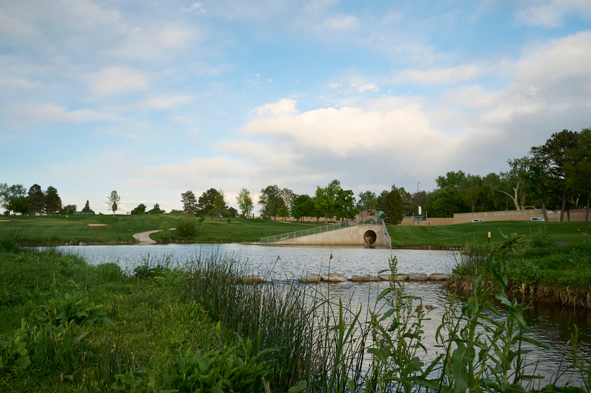 City Park Golf Mid 3