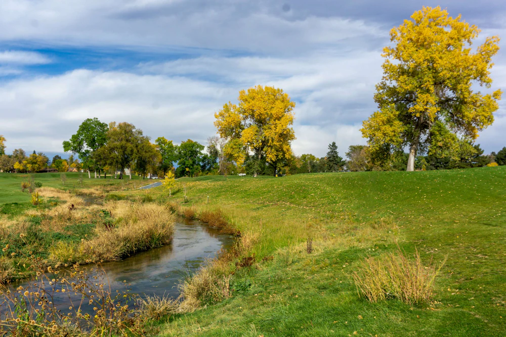 City Park Golf Slide 5