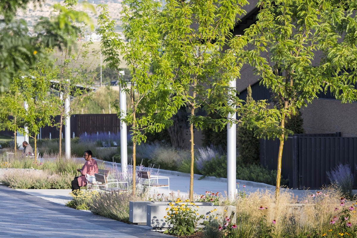 Vermijo and Sierra Madre Mid 4