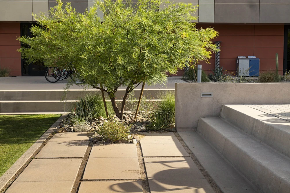 ASU Lantana Hall Slide 3