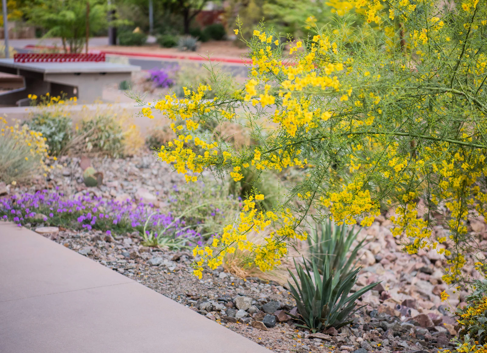 ASU Lantana Hall Two Col 2