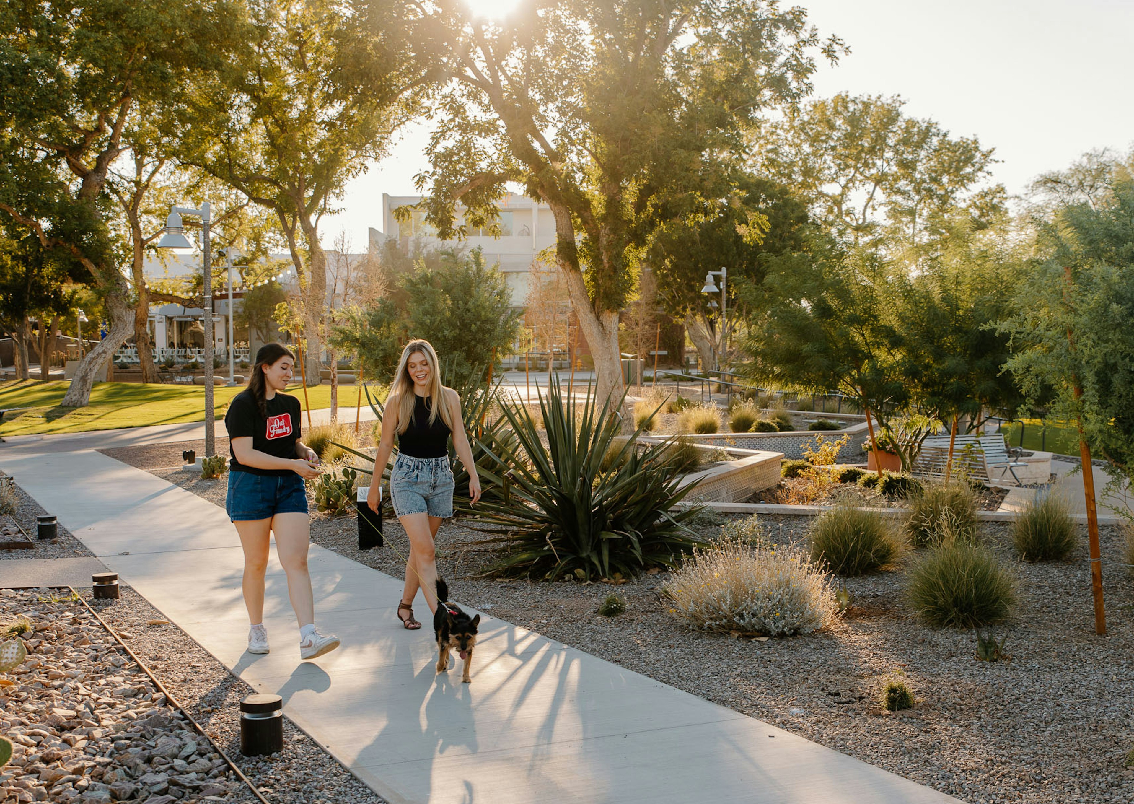 Scottsdale Civic Center: Layered tree canopy, shade structures, and water-conscious planting create a cooler, more resilient civic landscape.
