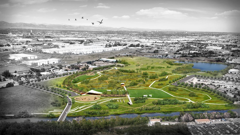 Carpio Sanguinette Hero